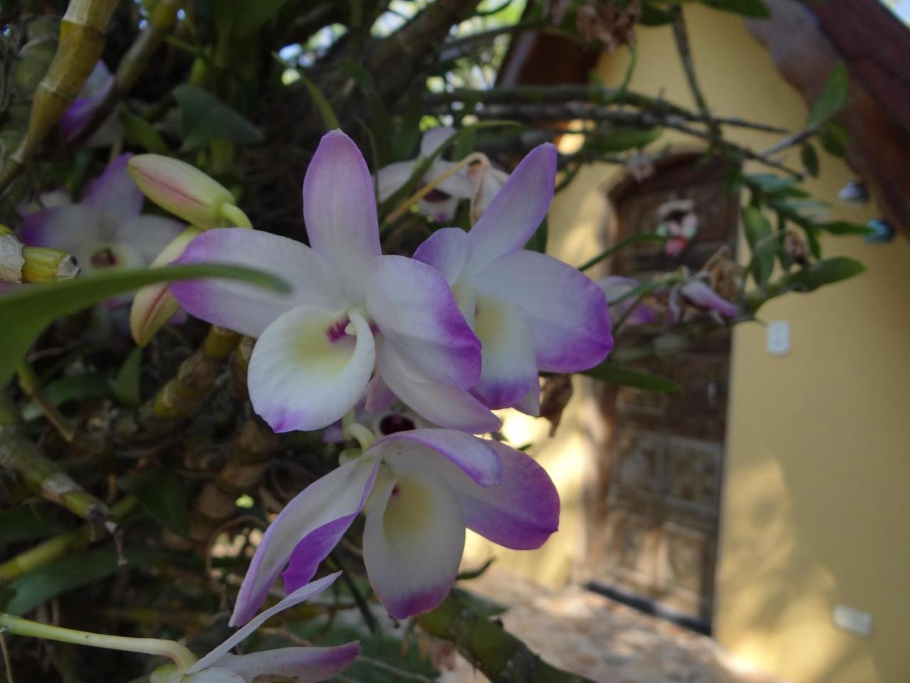 Chale Rancho Aratama Acomodação com café da manhã Jacareí Exterior foto